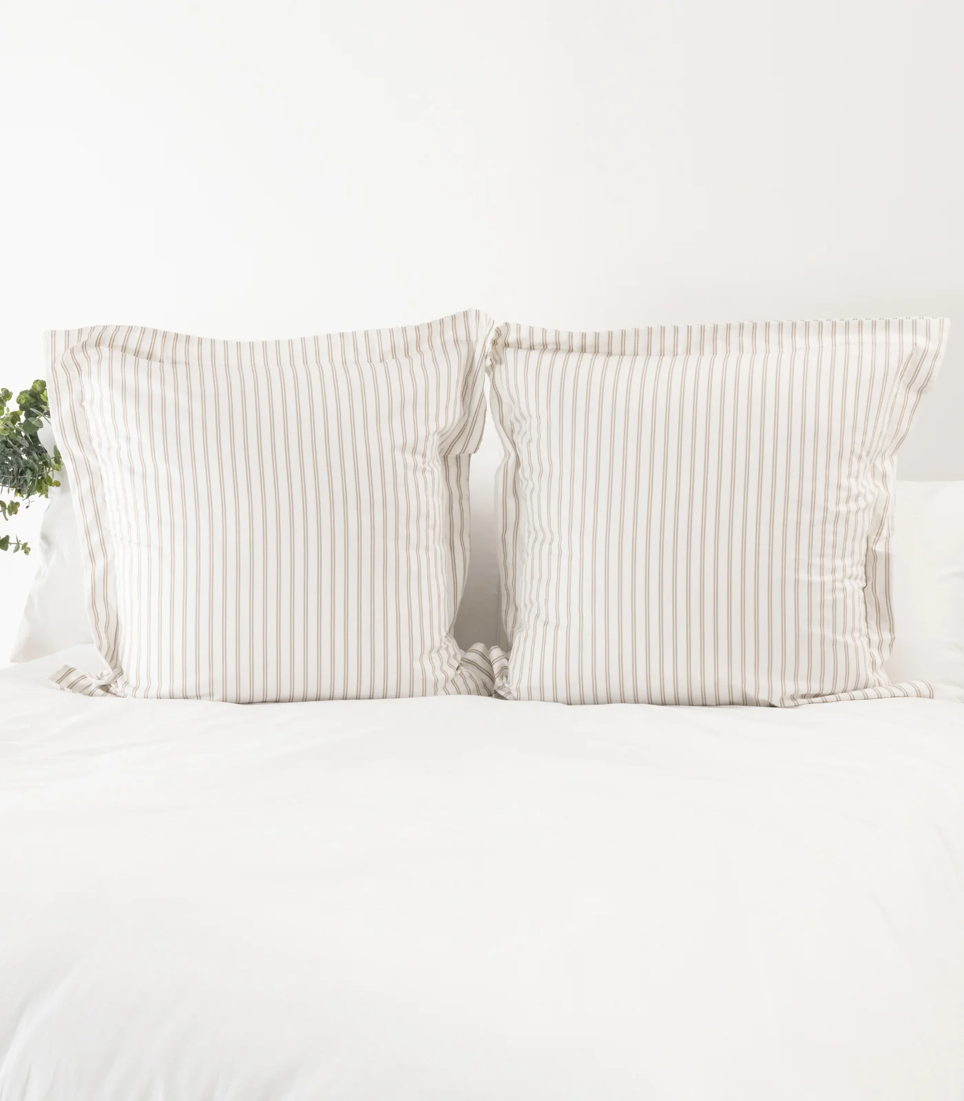 Organic Cotton European - Sateen Pillow Cases (Pair) - Luxe - Limited Edition - Image 4